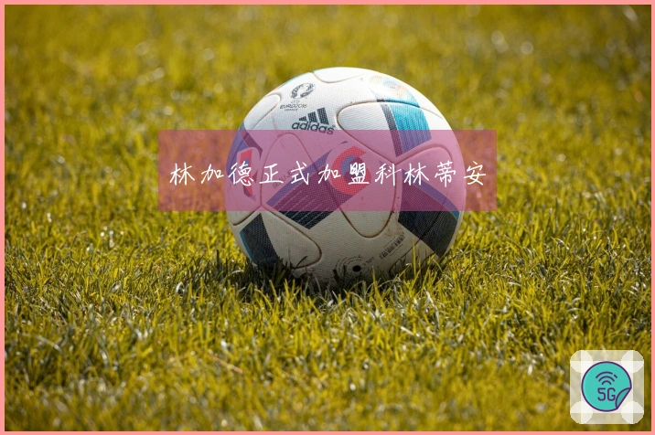 林加德正式加盟科林蒂安