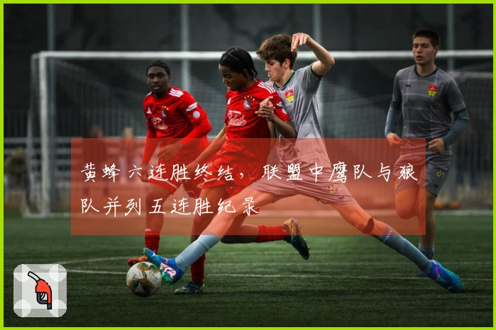 黄蜂六连胜终结，联盟中鹰队与狼队并列五连胜纪录