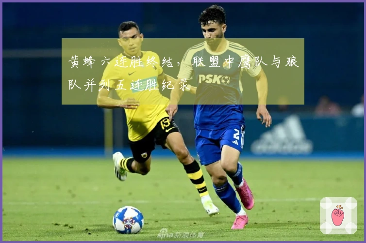 黄蜂六连胜终结，联盟中鹰队与狼队并列五连胜纪录