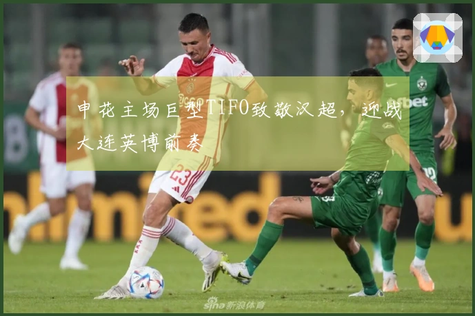 申花主场巨型TIFO致敬汉超，迎战大连英博前奏