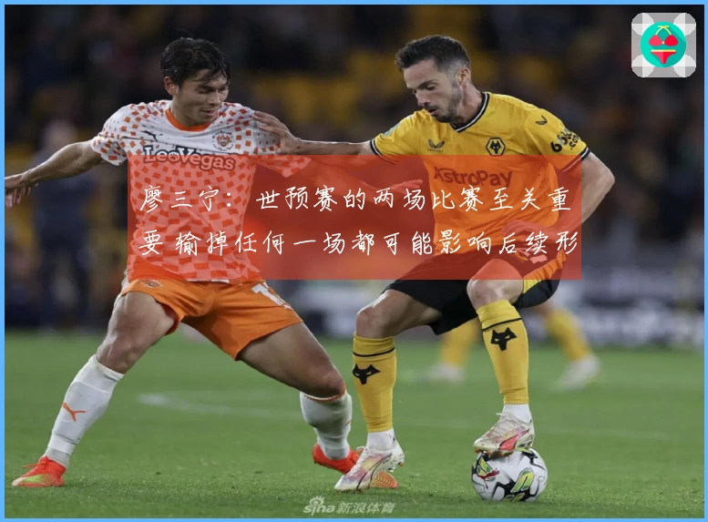廖三宁：世预赛的两场比赛至关重要 输掉任何一场都可能影响后续形势